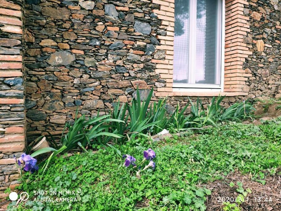 Olivae Villa Aracena Exterior photo